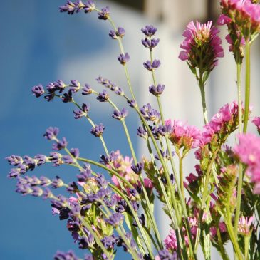 Mental Health First Aid Course review